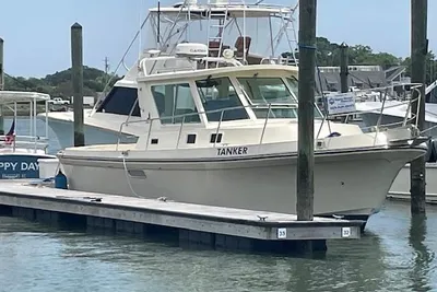 Albin 31 Tournament Express