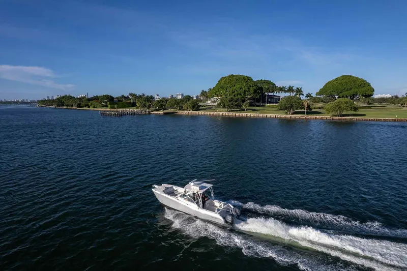  Yacht Photos Pics 2017 World Cat 295 DC cruising on a scenic waterfront with lush greenery.