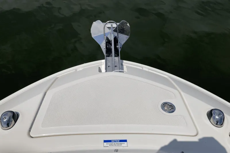 2019 Sea Ray 310 Slx Yacht Photos Pics 