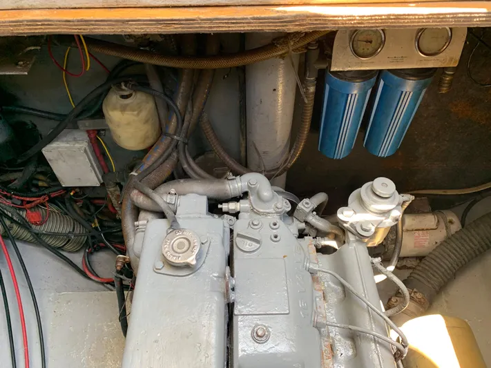 Doris Yacht Photos Pics 