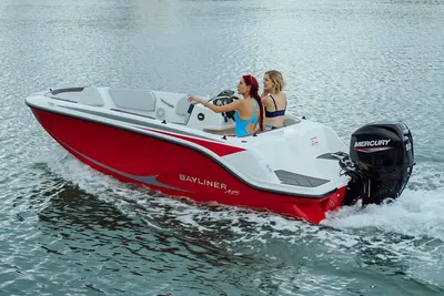 2024 Bayliner Element M15