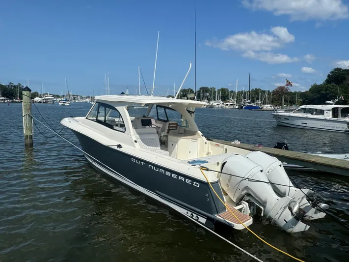  Yacht Photos Pics 