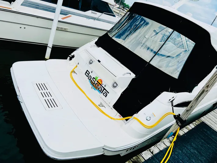 Baseata Yacht Photos Pics 2018 Sea Ray 350 Sundancer Coupe