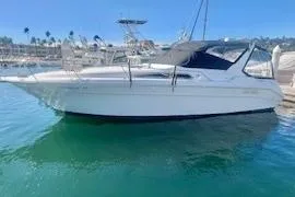Sea Ray 310 Sundancer