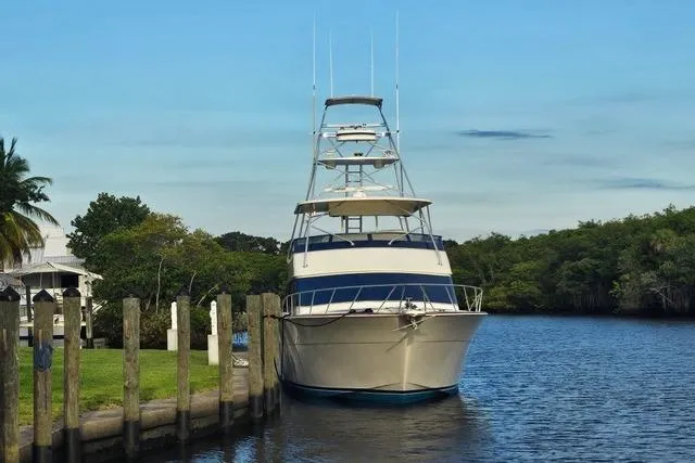 Andiamo Yacht Photos Pics 1991 Donzi 65 Sportfisher yacht docked by lush greenery and calm waters.