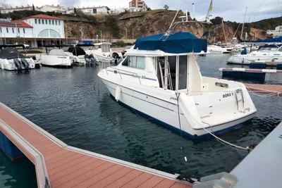 2004 Rodman 900
