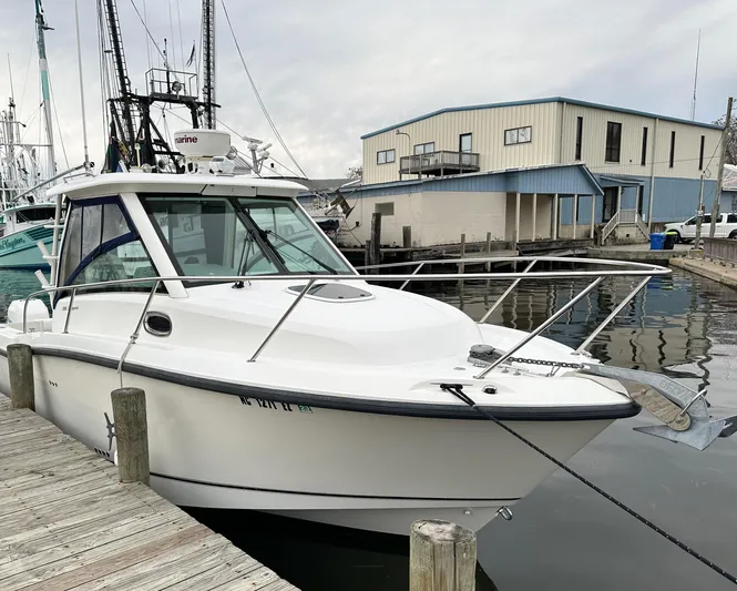 Spi Sea Yacht Photos Pics 