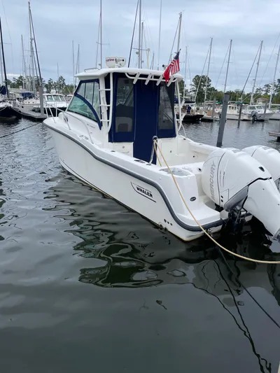 Spi Sea Yacht Photos Pics 