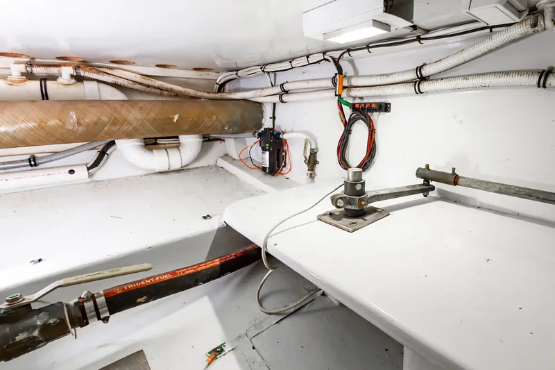 Sea Horse Yacht Photos Pics 