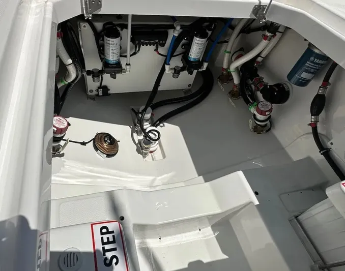  Yacht Photos Pics 2025 EVERGLADES 315 CC - Image 16