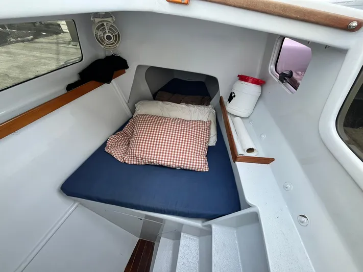 Bazinga Yacht Photos Pics 