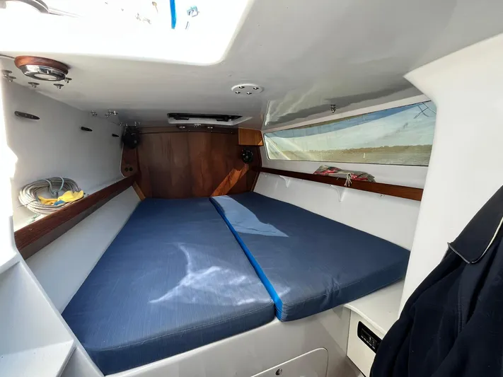 Bazinga Yacht Photos Pics 