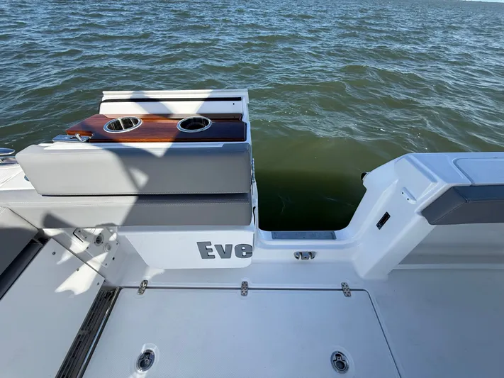  Yacht Photos Pics 2026 EVERGLADES 315 CC - Image 26