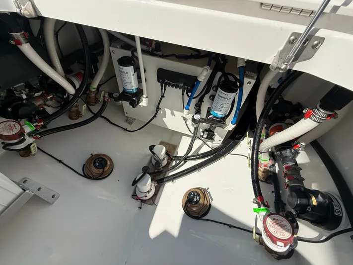  Yacht Photos Pics 2026 EVERGLADES 315 CC - Image 47