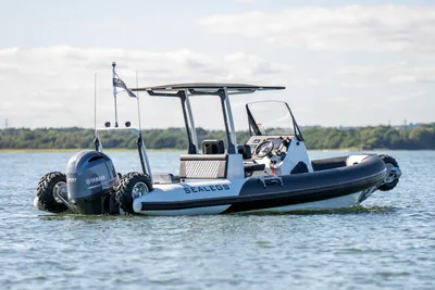Sealegs 7.5. Rib Hydrasol Amphibious