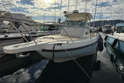 Boston Whaler 290 Outrage
