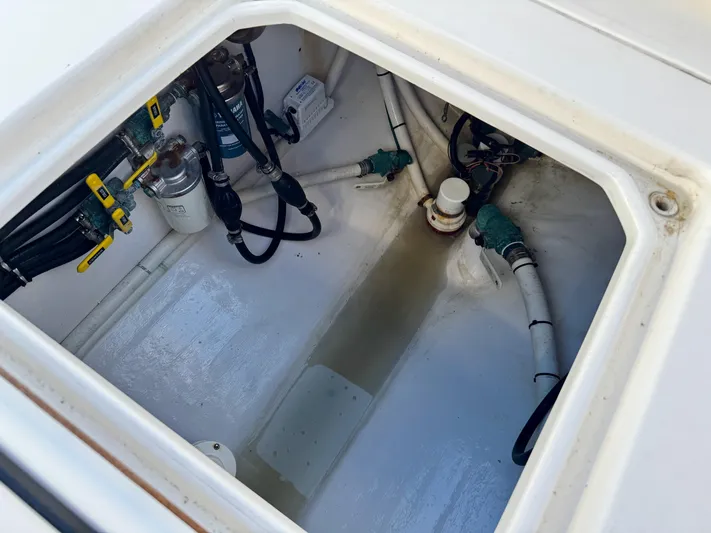 Fast Forward Yacht Photos Pics Bilge area of a 2010 Contender 39 ST boat, showing hoses and equipment.