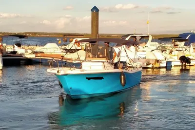 2002 White Shark 205