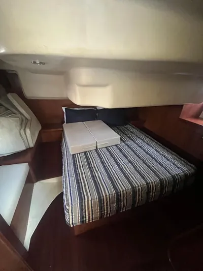 Pegasus Yacht Photos Pics 