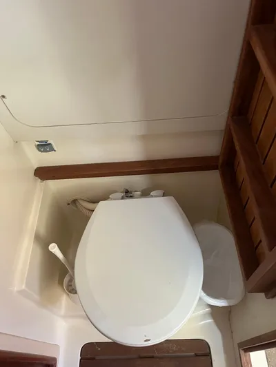 Pegasus Yacht Photos Pics 