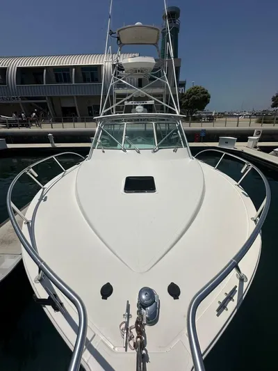 Squid Inc Yacht Photos Pics 2007 Albemarle 360 Express boat docked at marina, front view.