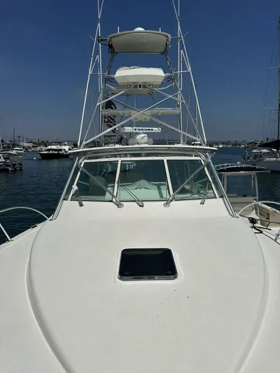 Squid Inc Yacht Photos Pics 2007 Albemarle 360 Express boat docked in marina, clear sky, calm waters.