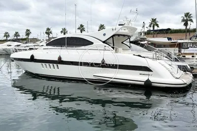 Mangusta Mangusta 72