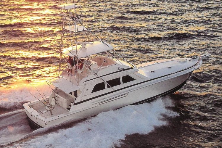 1996 Bertram Convertible