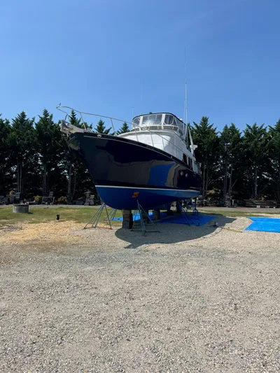 Freedom Yacht Photos Pics 