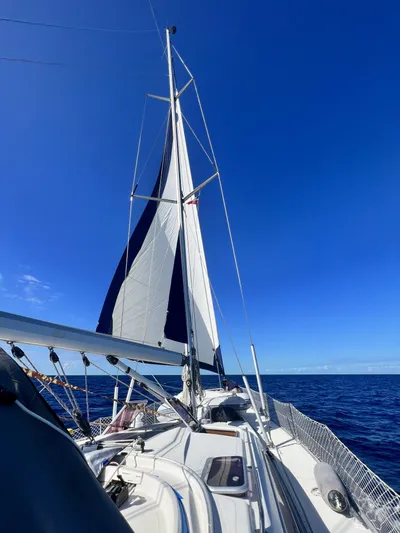 Sv Searching For The Edge Yacht Photos Pics 