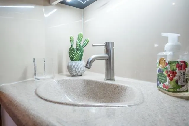 Lunasea Yacht Photos Pics Modern yacht bathroom sink with faucet, cactus decor, and soap dispenser on Cruiser Yachts 405 EXPRESS.