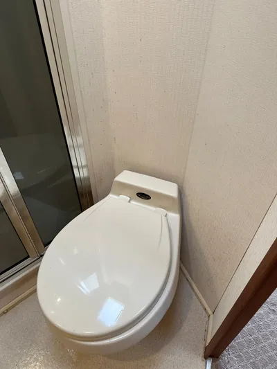 Bad Habit Yacht Photos Pics Toilet in 1997 Viking 43 Open yacht bathroom.