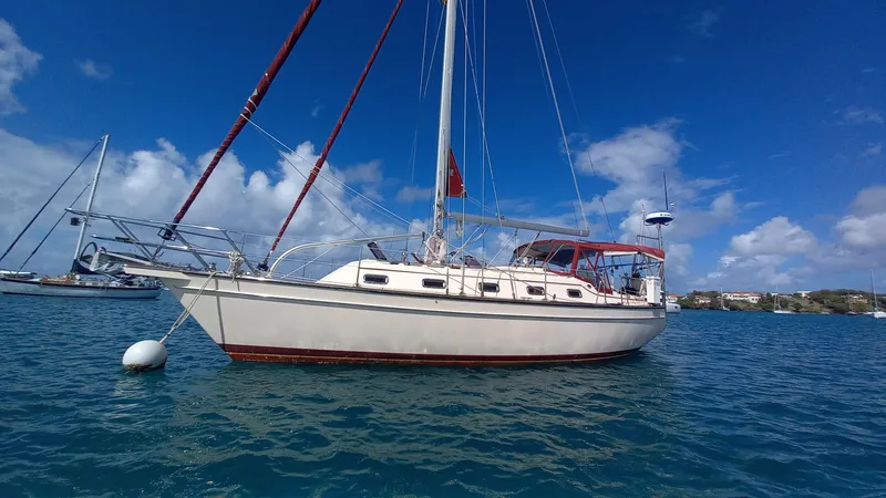 Sunny Girl Yacht Photos Pics 2004 Island Packet 370 sailboat anchored in clear blue waters under a sunny sky.
