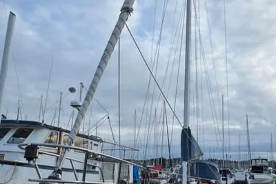 Tayana 37