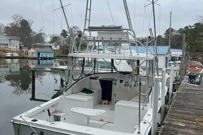 Luhrs 290
