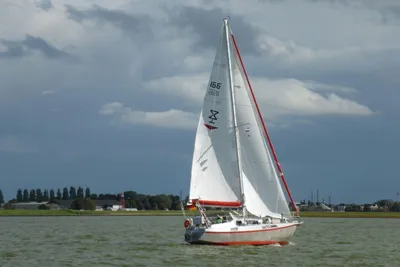 2010 Reinke S11