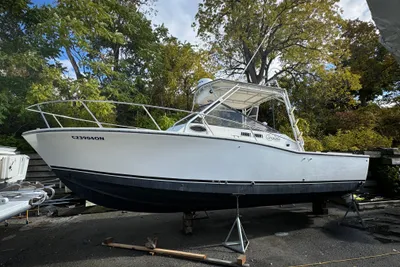 Carolina Classic 28