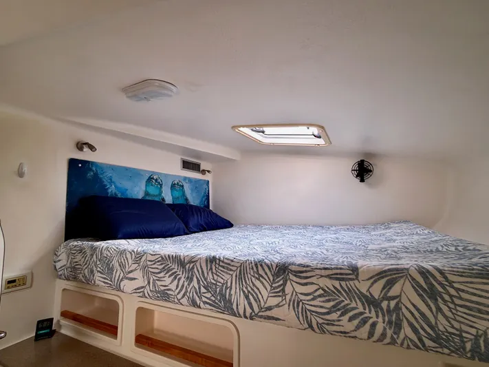 Leap Of Faith Yacht Photos Pics 