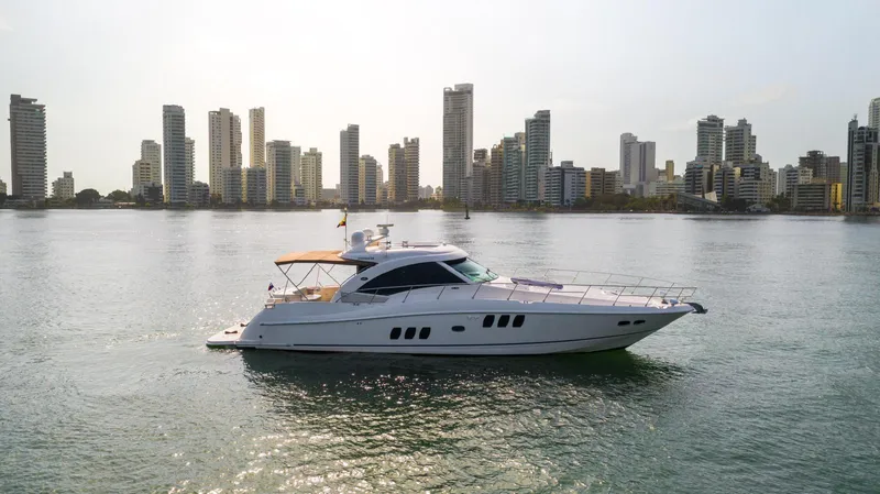  Yacht Photos Pics 2008 Sea Ray 60 Sundancer yacht cruising near city skyline.