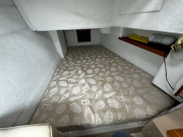 Surprise Yacht Photos Pics 