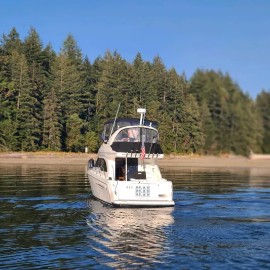 New Lease On Life Yacht Photos Pics 2004 Meridian 341 yacht on calm water with forested shoreline in background.