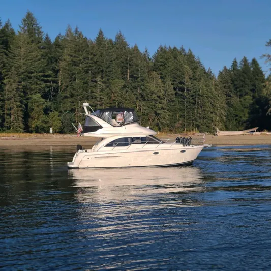 New Lease On Life Yacht Photos Pics 2004 Meridian 341 yacht on calm water with forested shoreline in the background.