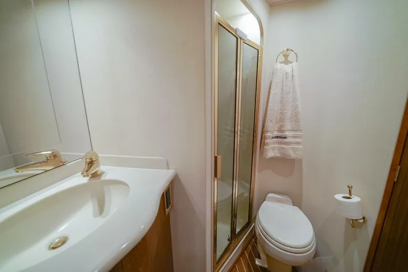 Bad Habits Yacht Photos Pics 2007 Viking 45 Convertible yacht bathroom with shower, sink, and toilet.