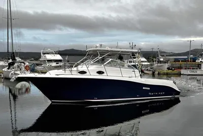 Seaswirl Striper 2901 Walkaround O/B