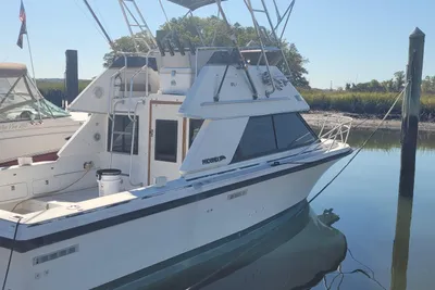 Phoenix 29 SFX Convertible