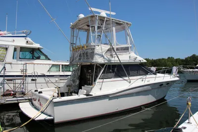 Wellcraft Cozumel 3700