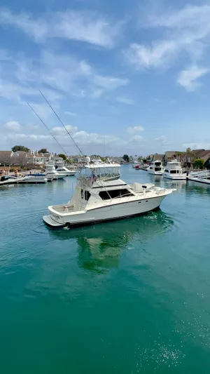 White Shark Yacht Photos Pics 