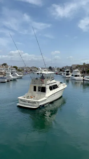 White Shark Yacht Photos Pics 