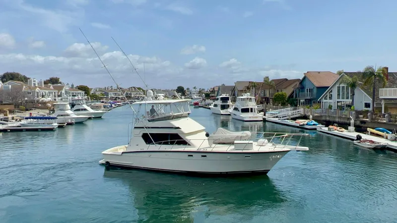 White Shark Yacht Photos Pics 
