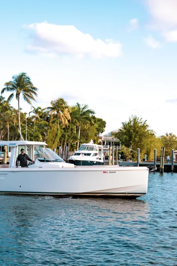 Next Yacht Photos Pics 2022 Fjord 38 Open boat cruising near palm-lined marina.